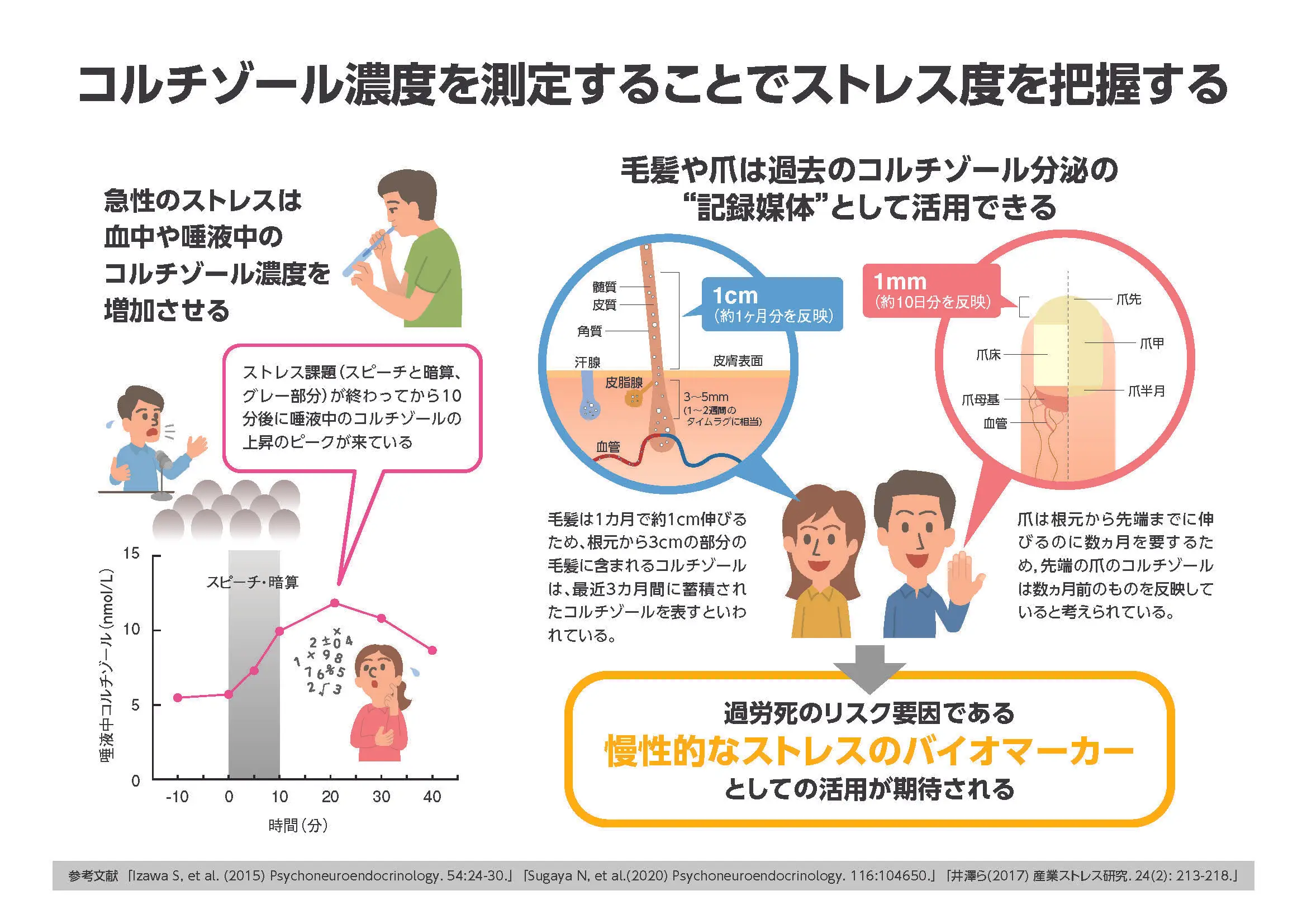 コルチゾール濃度を測定することでストレス度を把握する