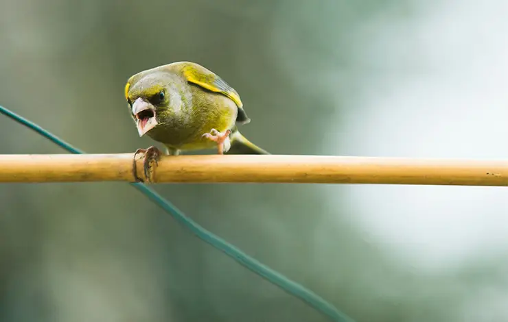 中国の公立病院における、言葉の暴力と仕事満足度・エンゲージメントの関連